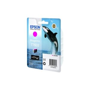 Tusz Epson T7603 Magenta C13T76034010